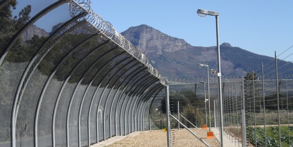 Fences for prisons