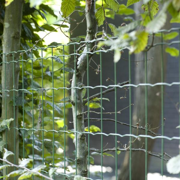 Fencing For Your Garden | Family |